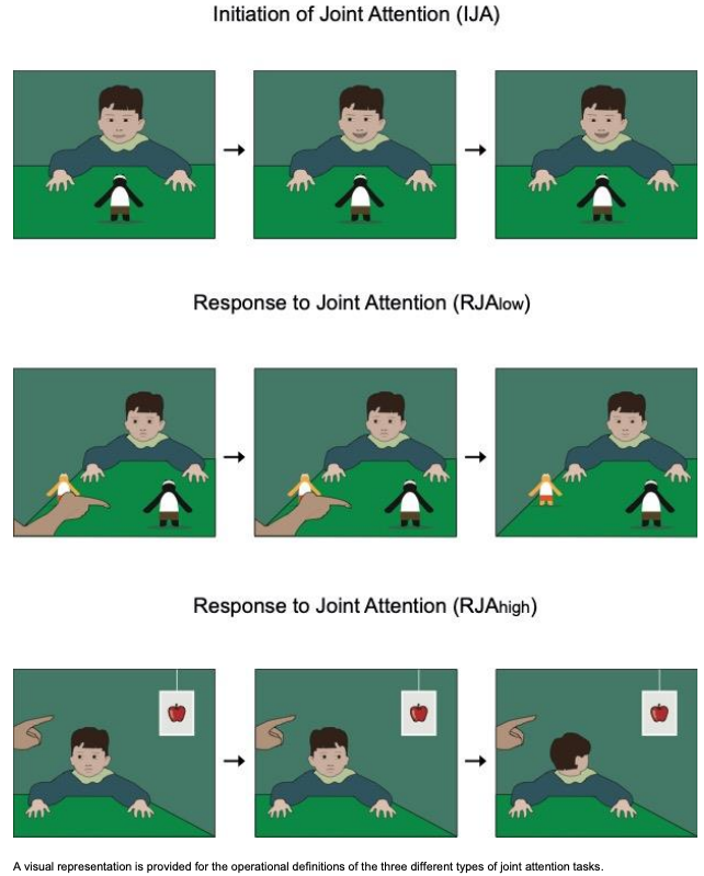 Development and Validation of a Joint Attention-Based Deep Learning System for Detection and Symptom Severity Assessment of Autism Spectrum Disorder