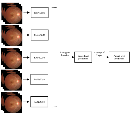 Development of deep ensembles for screening and severity of autism using retinal photographs